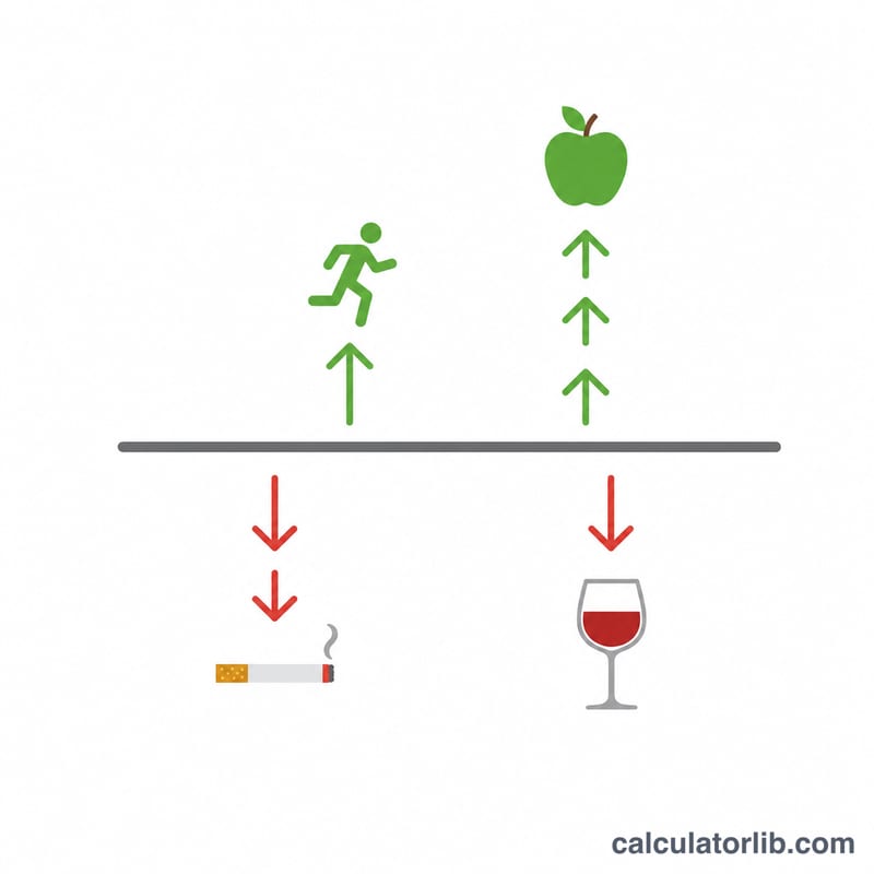 Diagram showing a base life expectancy bar adjusted up and down by lifestyle factor offsets