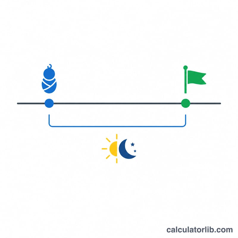 خط زمني يوضح عدد الأيام بين تاريخ الميلاد والتاريخ المرجعي