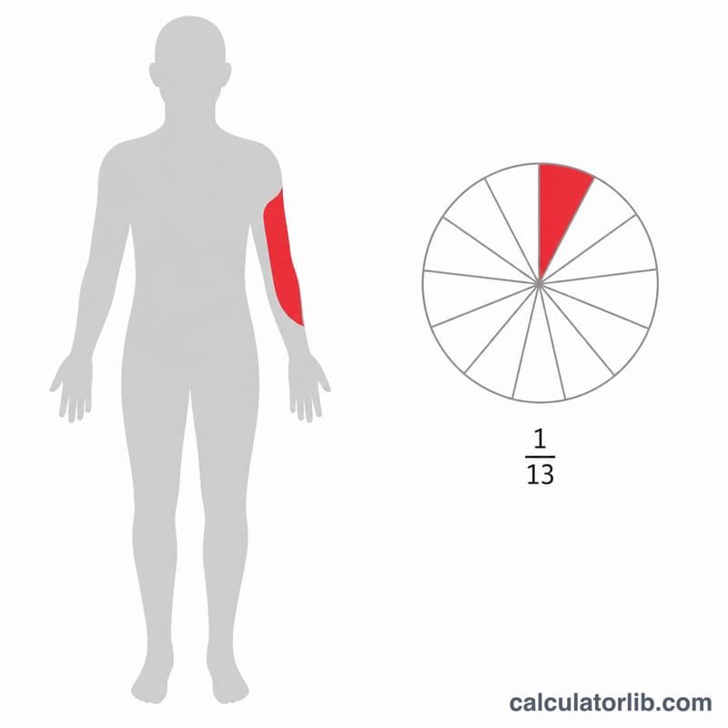 人体のシルエットを描いたフラットなイラストで、血液を表すために約13分の1が強調されている