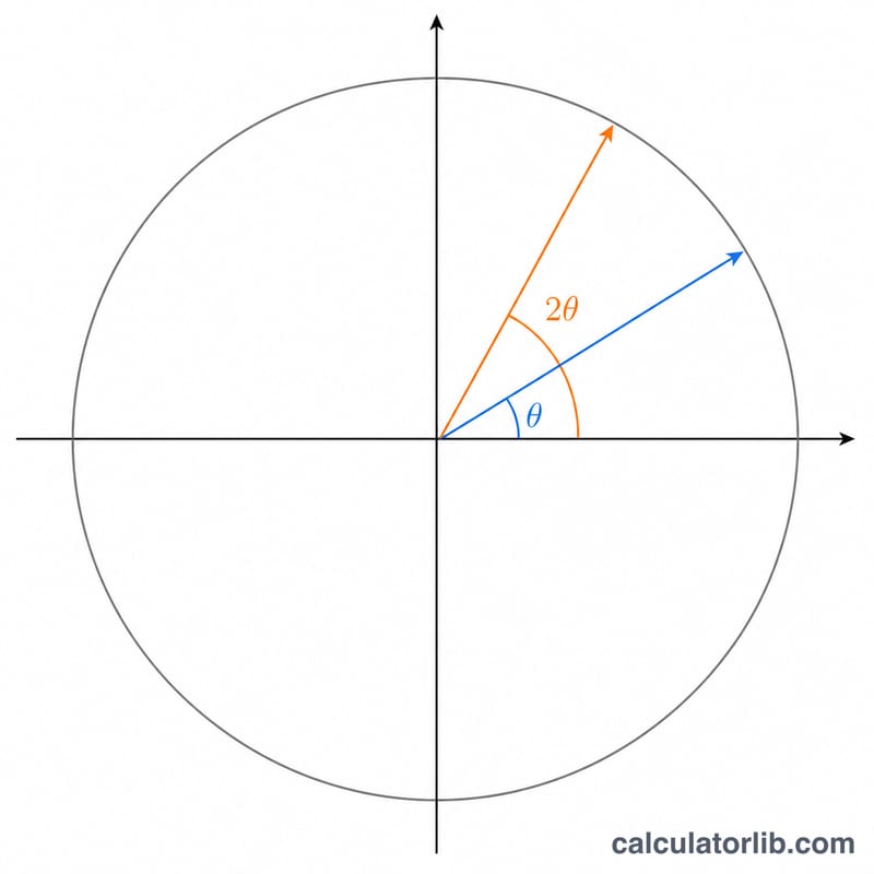 Unit circle showing angle theta and doubled angle 2 theta with their terminal rays