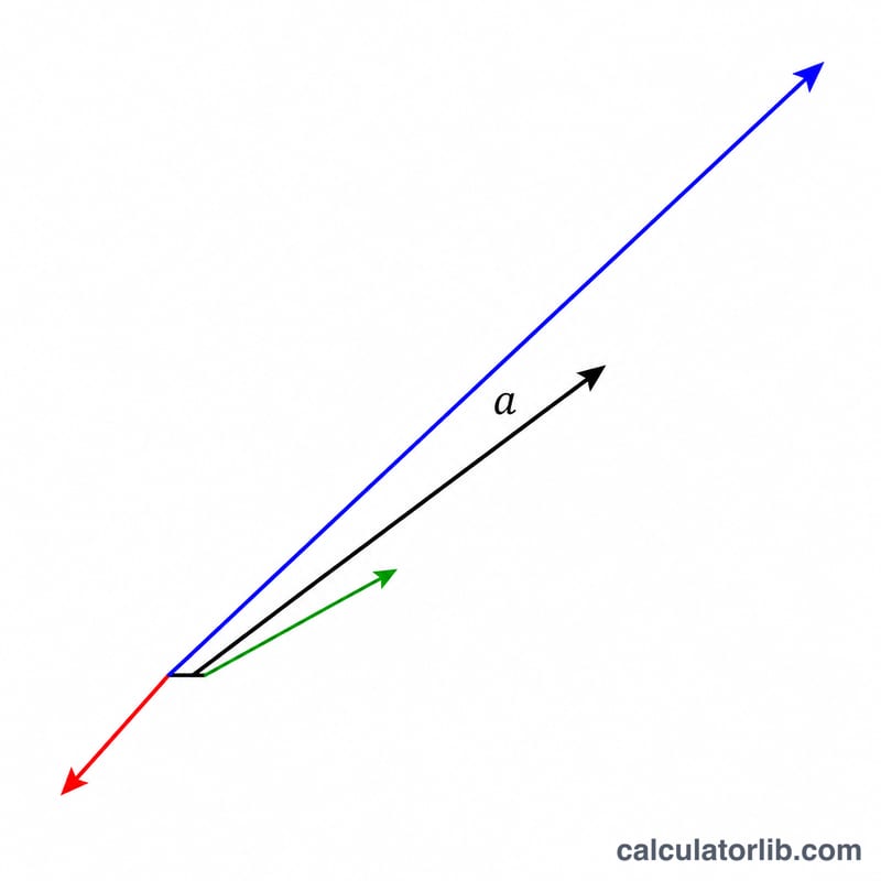 Une flèche vectorielle et trois versions à l'échelle montrant l'allongement, l'absence de changement et l'inversion.