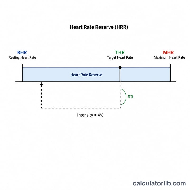 Horizontal bar showing resting heart rate, max heart rate, the reserve between them, and target heart rate