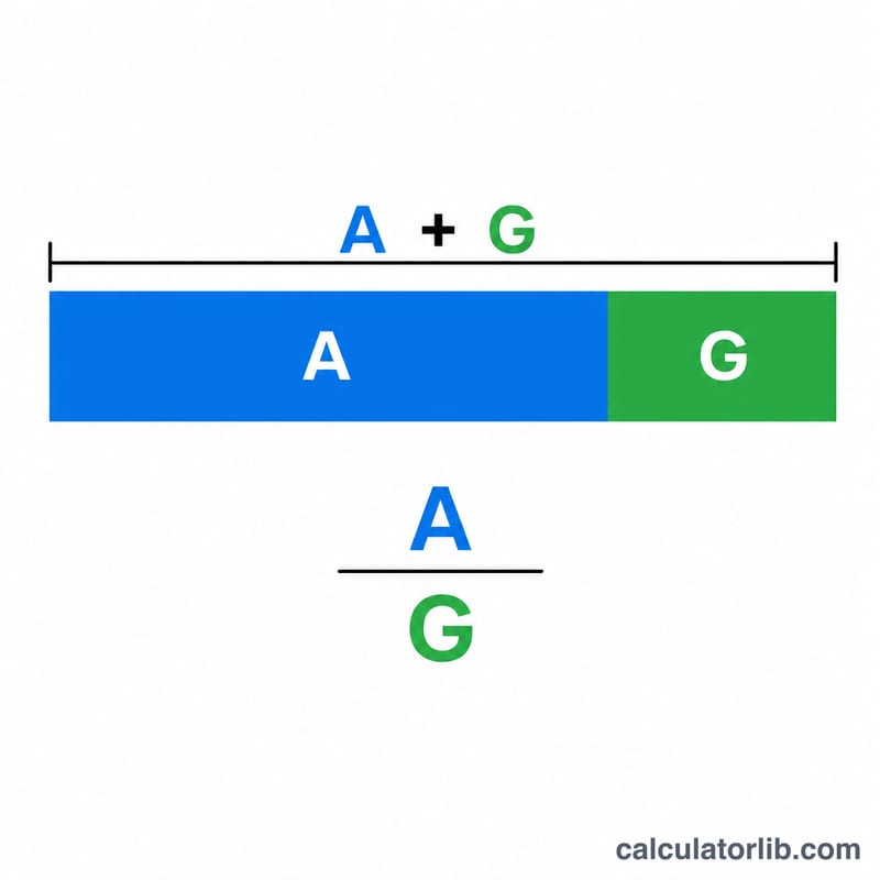 Diagram showing total protein split into albumin and globulin portions with the A/G ratio formula