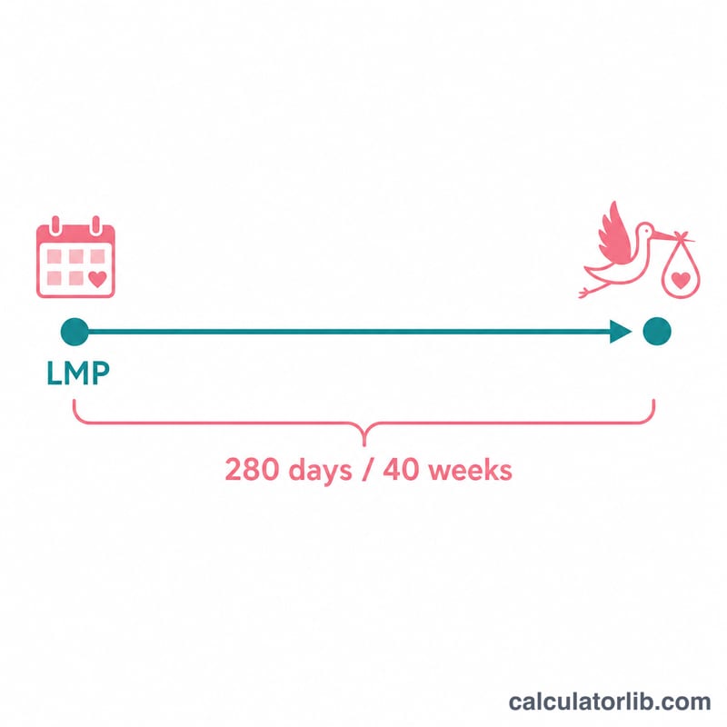 Timeline showing 280 days from last menstrual period to due date