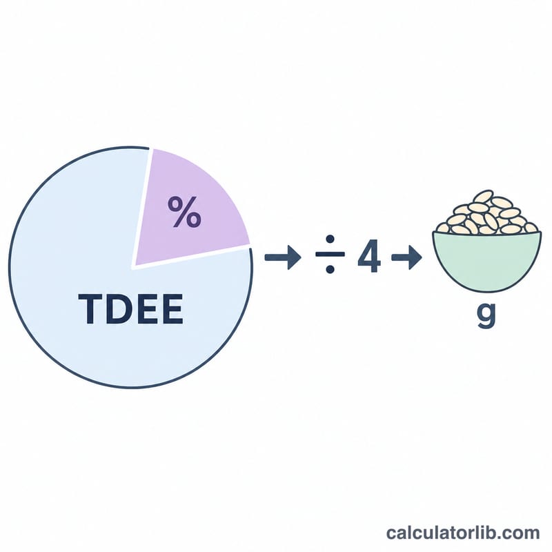 Diagram showing total daily calories split into a carbohydrate portion divided by 4 to give grams