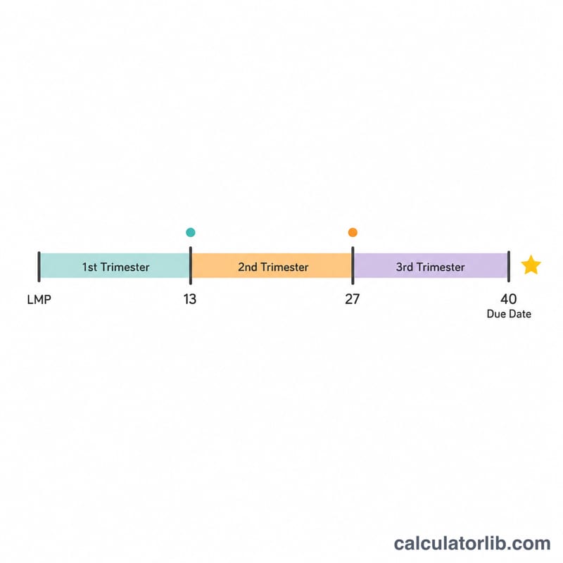 Timeline showing three pregnancy trimesters from LMP to due date at week 40