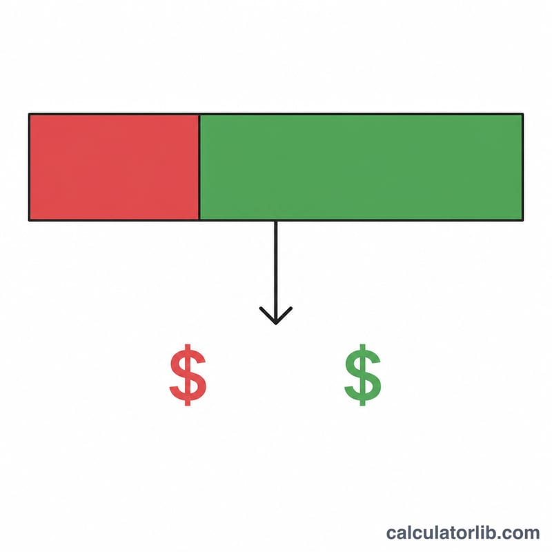 Flat bar showing gross income split into taxes and disposable income