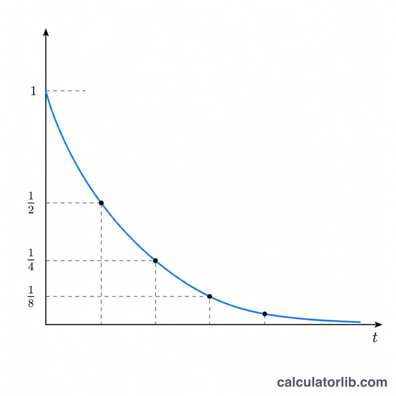 Exponential decay curve showing drug amount halving at each half-life interval