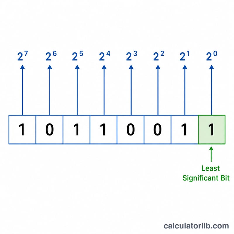 Binary digits aligned under their positional powers of two