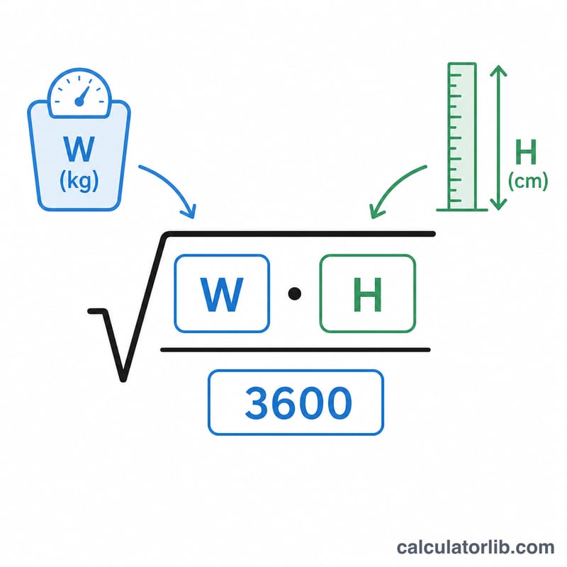 Diagram of the Mosteller BSA formula linking weight and height to the square root expression
