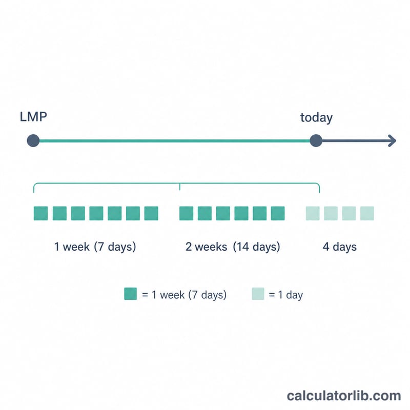 Timeline from LMP to today divided into 7-day weeks plus remainder days