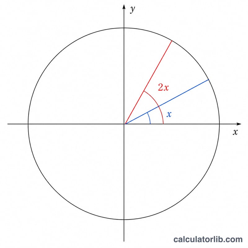 Unit circle showing angle x and the doubled angle 2x