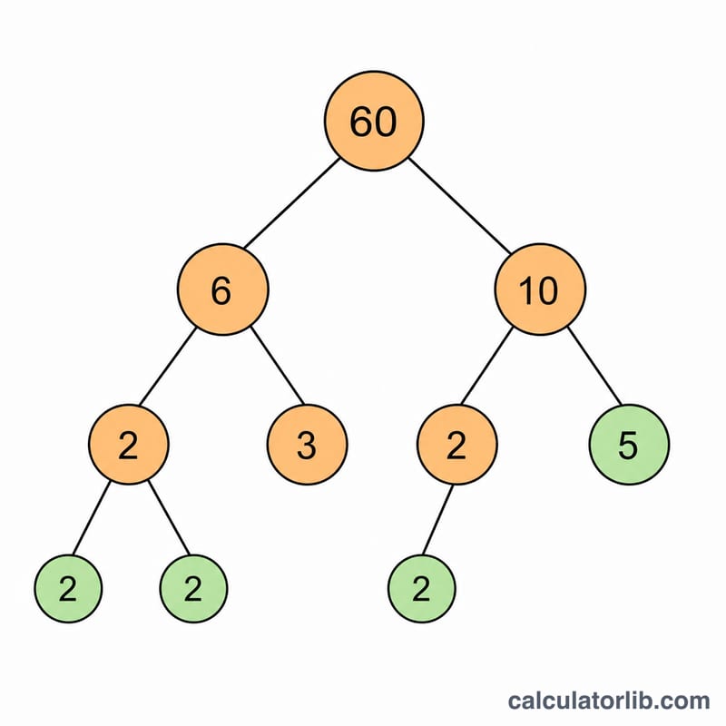 Prime factorization of 60 shown as a factor tree branching into prime factors 2, 2, 3, 5