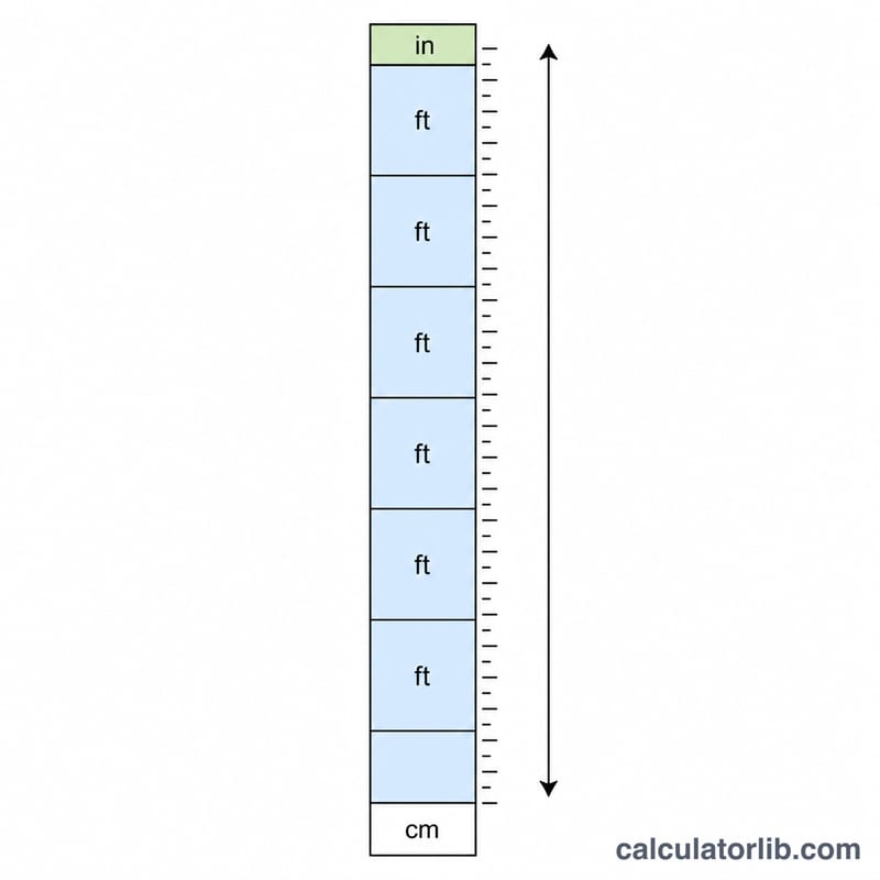 Diagram showing total centimeters divided into feet and remaining inches on a vertical height bar