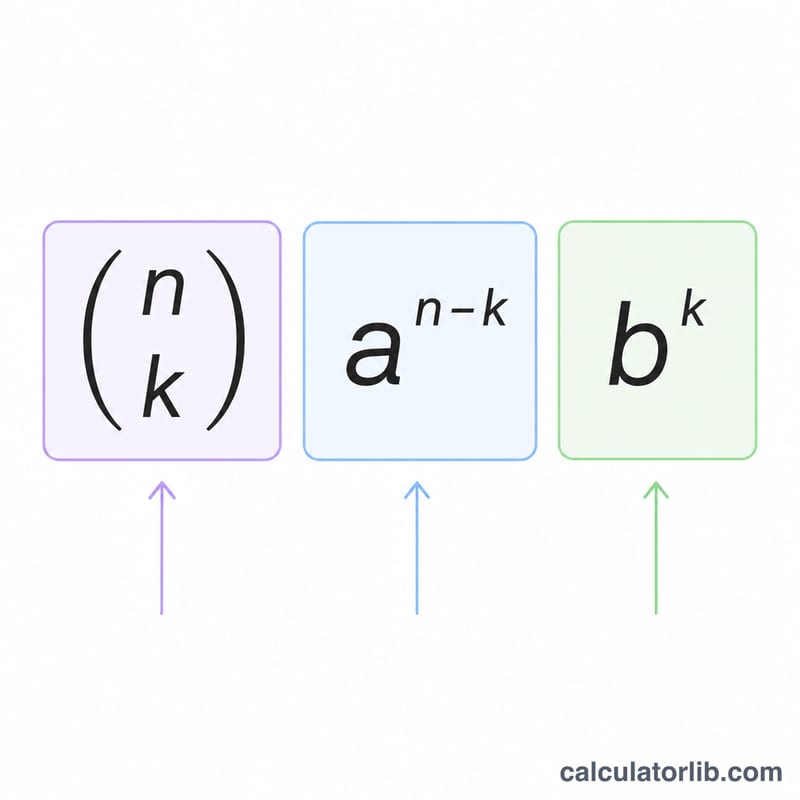 Annotated diagram of a single binomial expansion term showing binomial coefficient, a power and b power