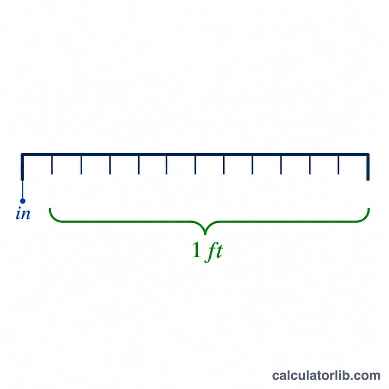Diagram showing 12 inch marks equal one foot