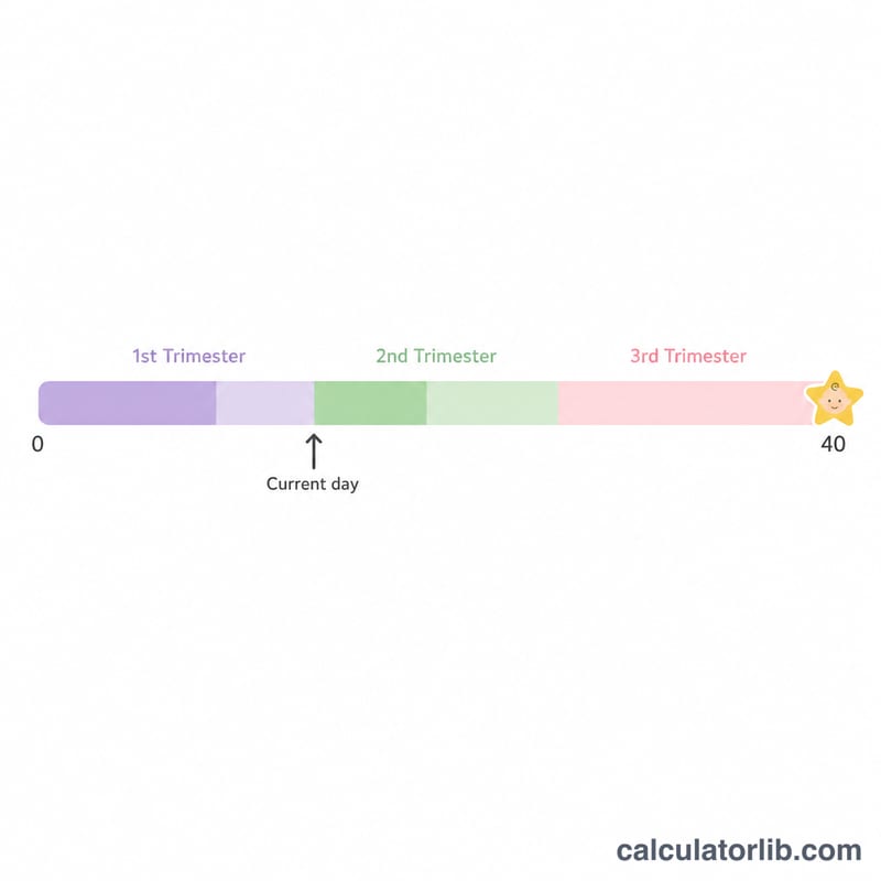 Pregnancy timeline of 40 weeks with a marker showing current point between start and due date