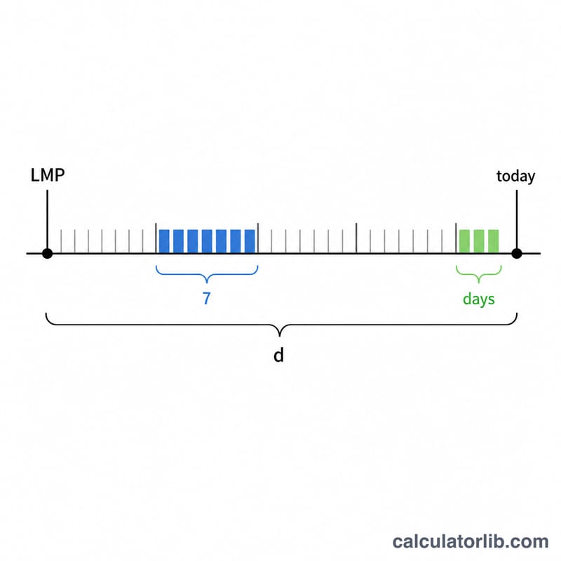 Timeline from LMP to today divided into weeks of seven days plus remainder days