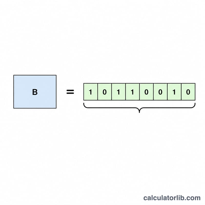 Diagram showing one byte composed of eight bits