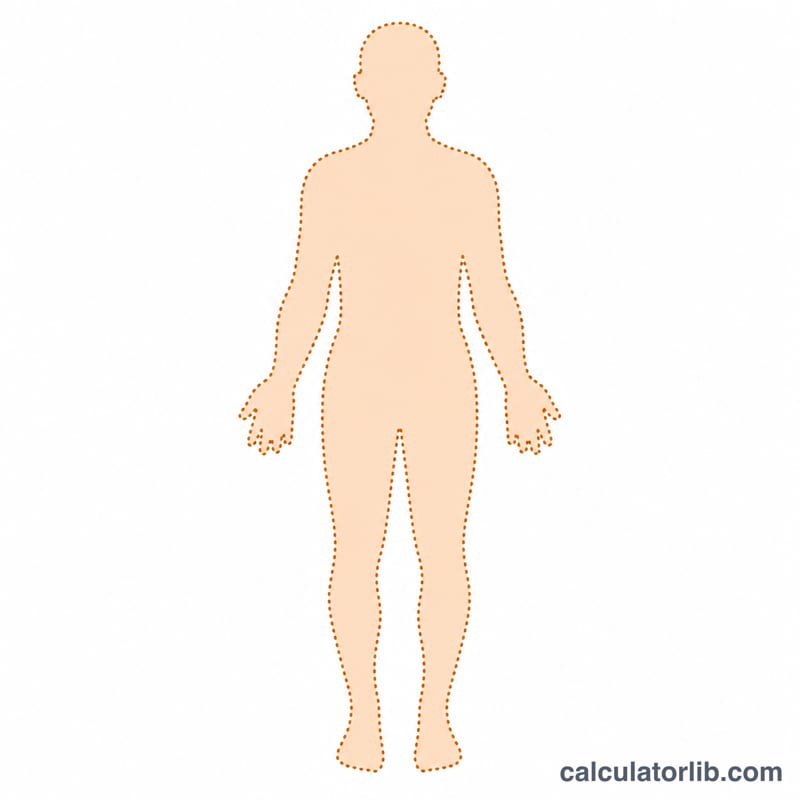 Human figure silhouette with surface area highlighted