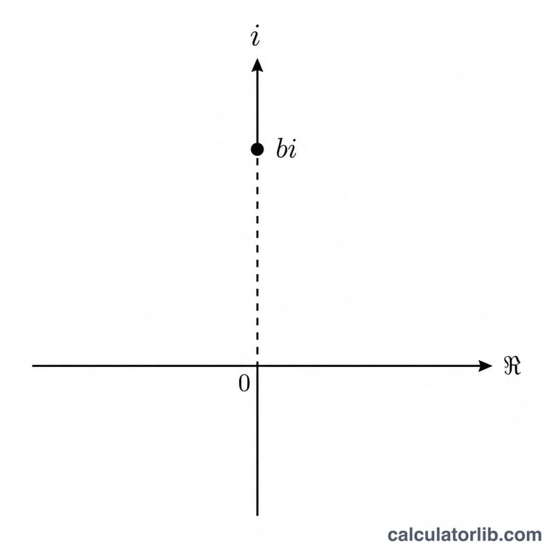 Complex plane showing the imaginary axis with a point at b times i above the origin