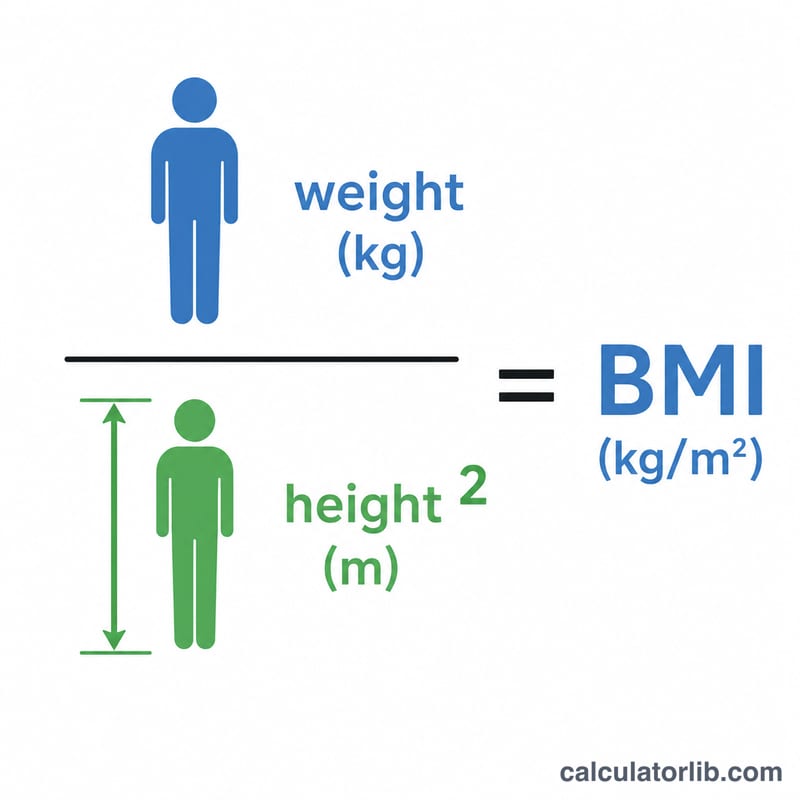 BMI được tính bằng cân nặng theo kilôgam chia cho bình phương chiều cao theo mét