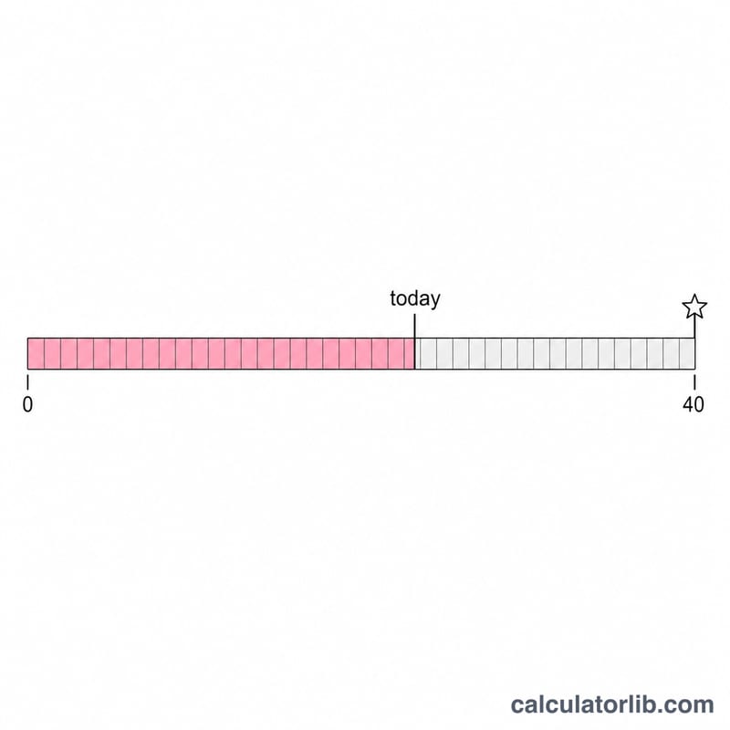 Pregnancy timeline showing current weeks pregnant and remaining days to a 40-week due date