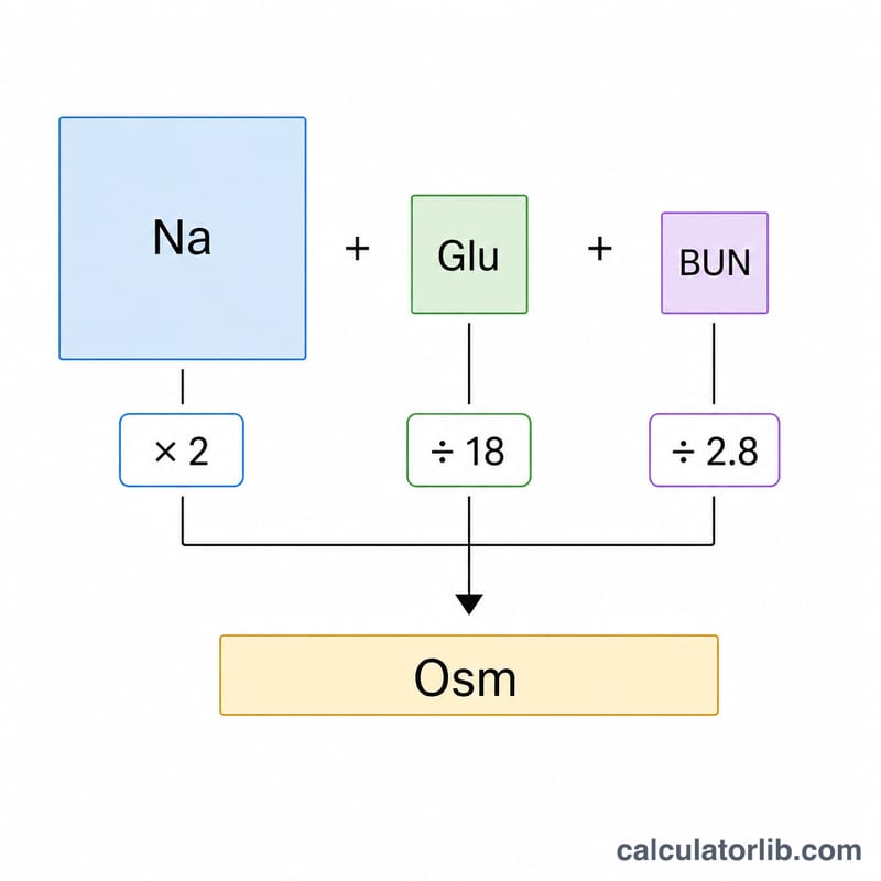 Diagrama que muestra cómo los términos de sodio, glucosa y BUN se suman para dar la osmolalidad plasmática