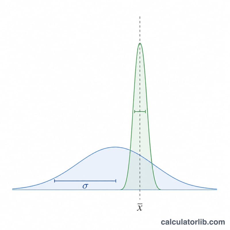 Wide population bell curve compared to a narrower distribution of sample means