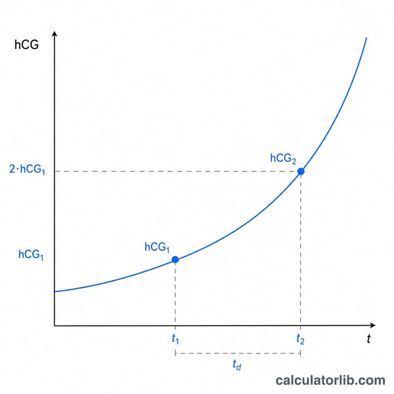 Exponential rising curve of hCG level over time with two test points marked and a doubling interval