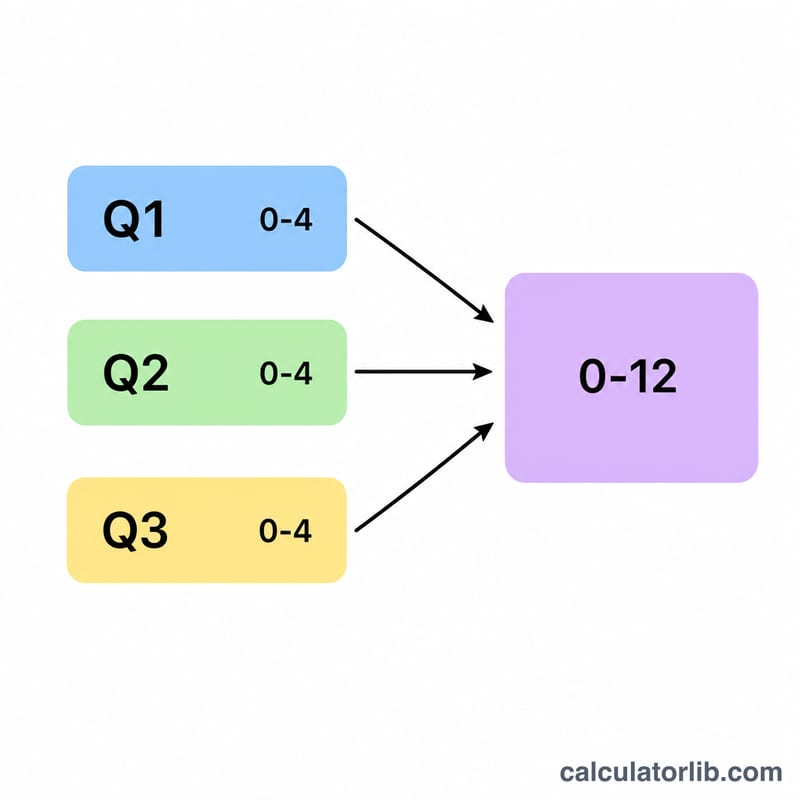 Three question boxes each scored 0 to 4 adding into a total of 0 to 12