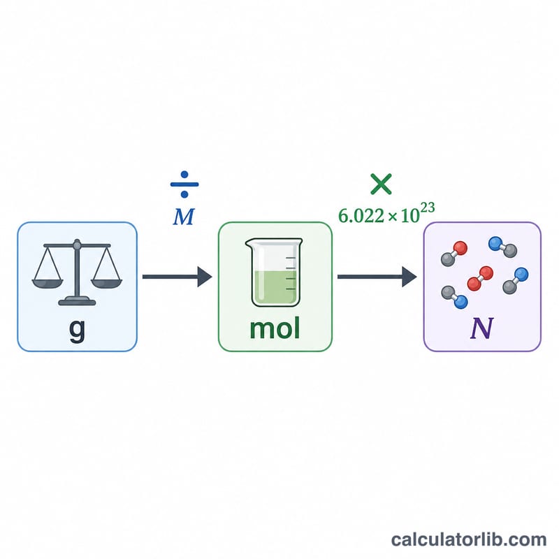 Flow diagram converting mass in grams to moles then to number of molecules