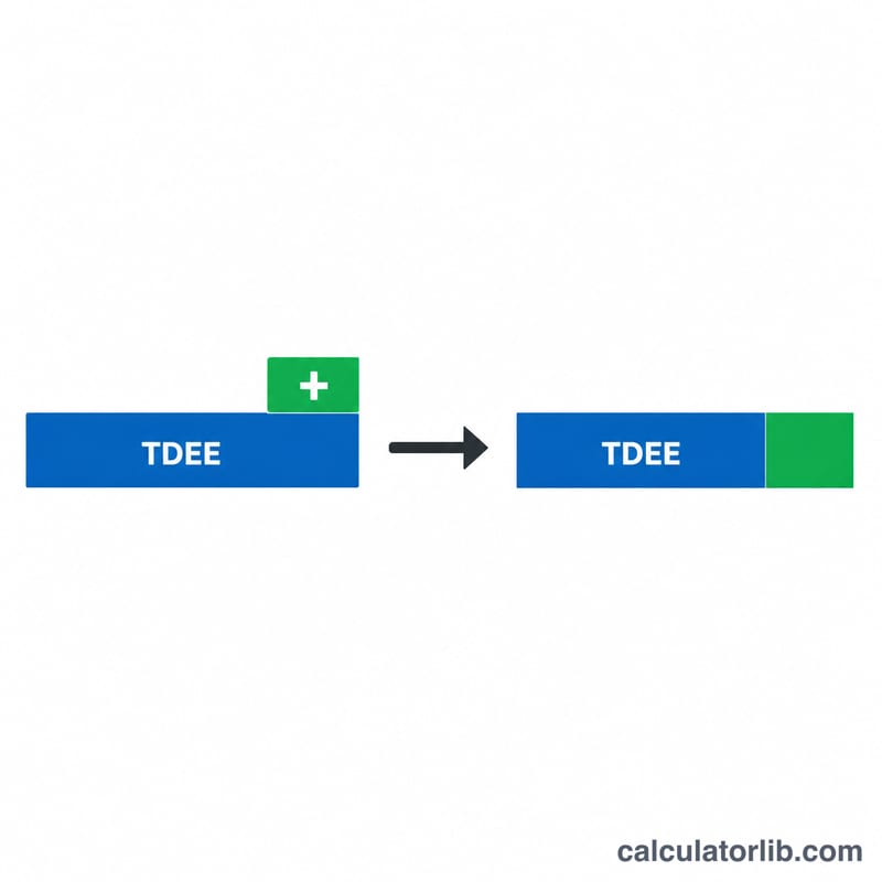 Diagram showing TDEE plus a calorie surplus equals bulking calories