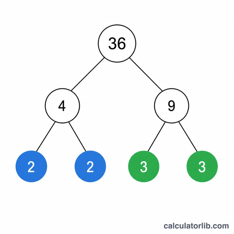 Factor tree breaking 36 into prime factors 2, 2, 3, 3