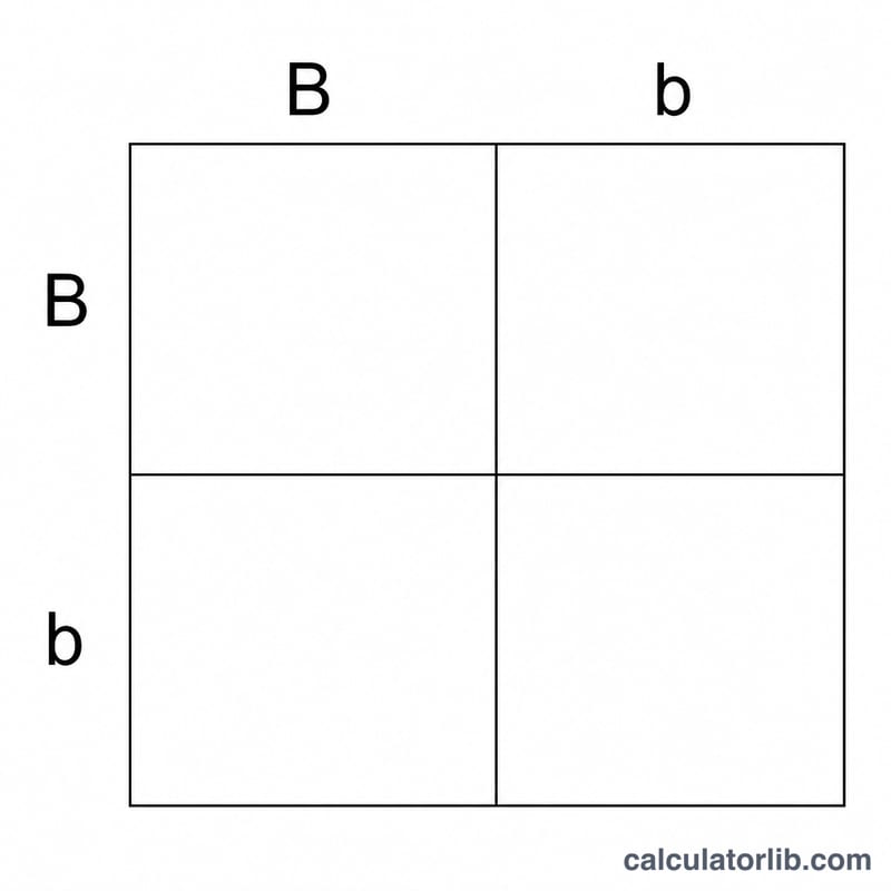 Blank 2x2 Punnett square grid with parent alleles labeling the top and left edges