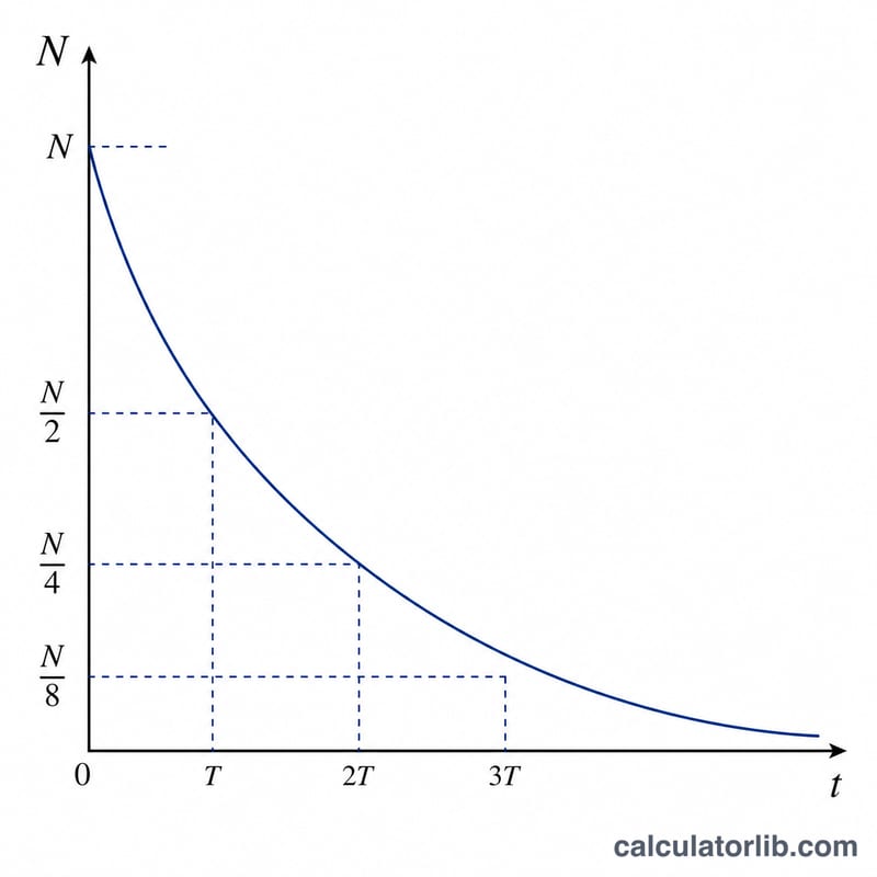 Exponential decay curve showing amount halving at equal time intervals