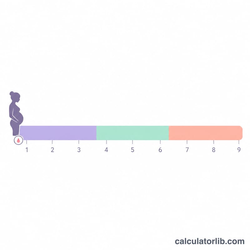 Pregnancy timeline divided into three trimesters across nine months
