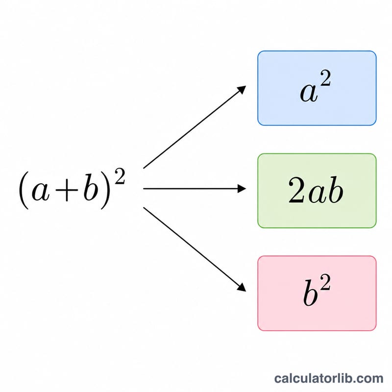 a²＋2ab＋b² 세 가지 색의 항, 이항식 제곱의 전개로 표시