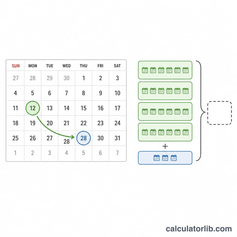 Two dates with total days split into weeks and remaining days