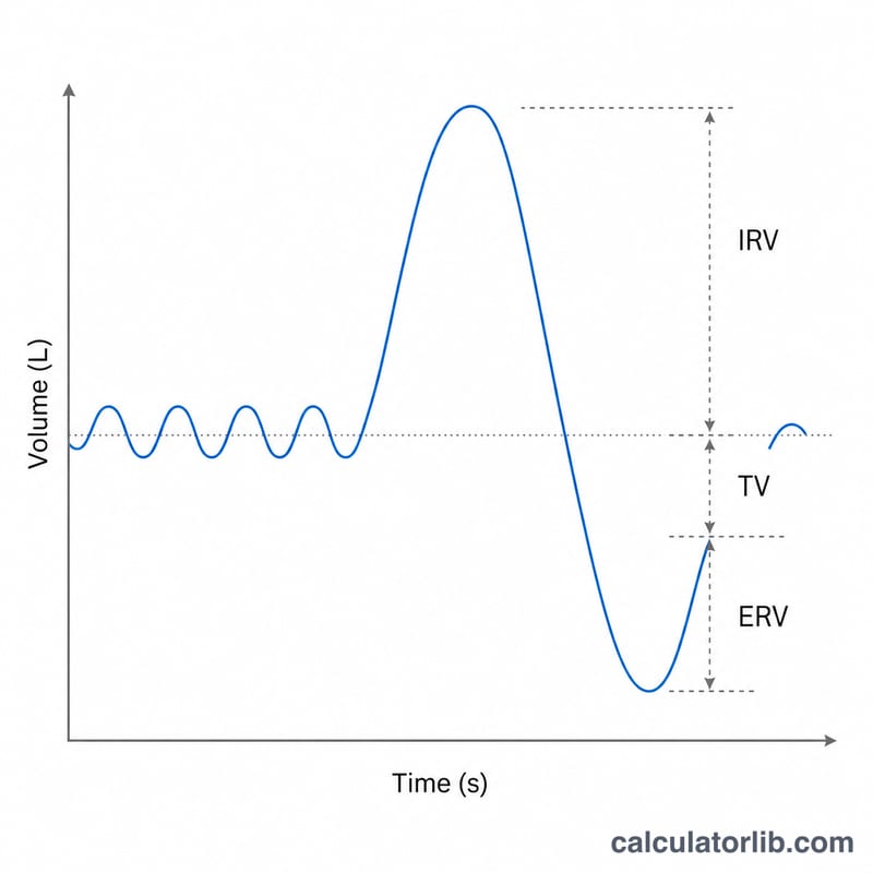 Spirogram curve showing breathing trace with reserve volumes marked