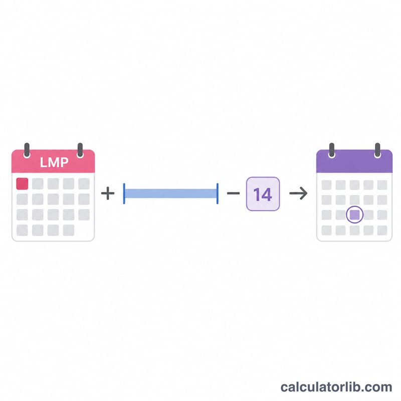 Diagram showing ovulation equals last period date plus cycle length minus 14