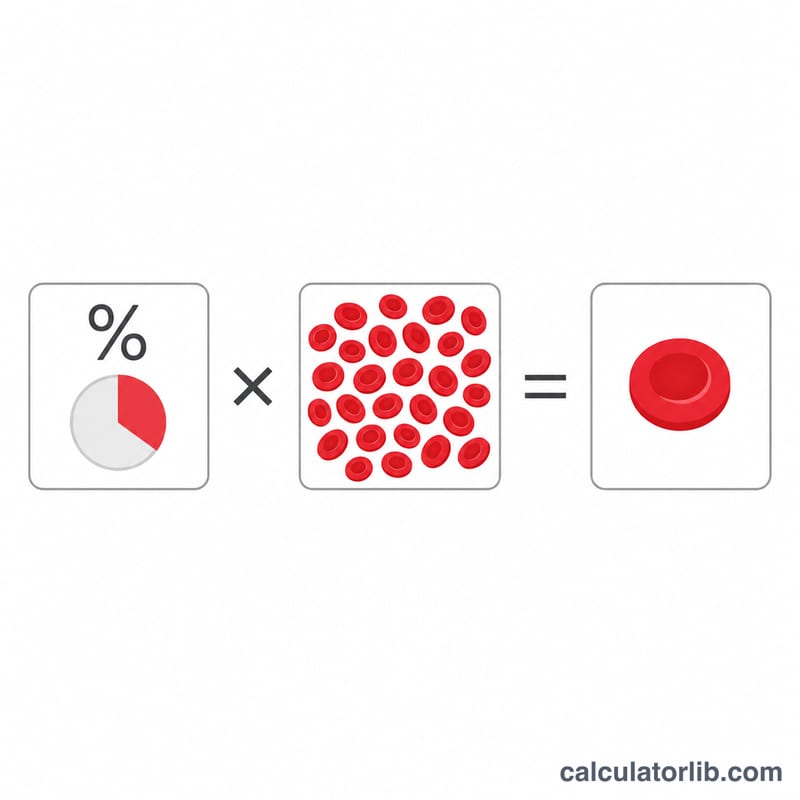 Flat diagram showing reticulocyte percentage times RBC count equals absolute reticulocyte count