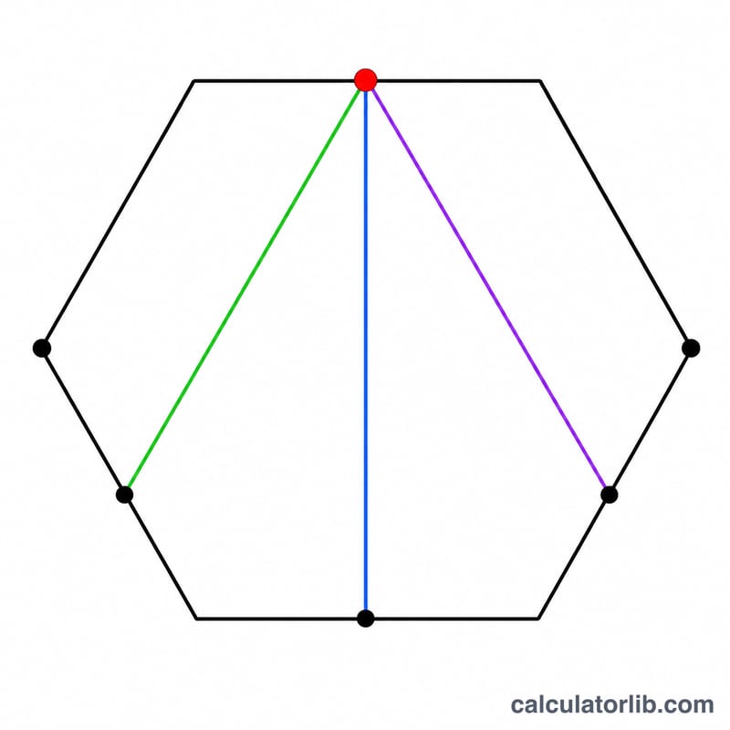 One vertex of a hexagon with diagonals fanning out to non-adjacent vertices