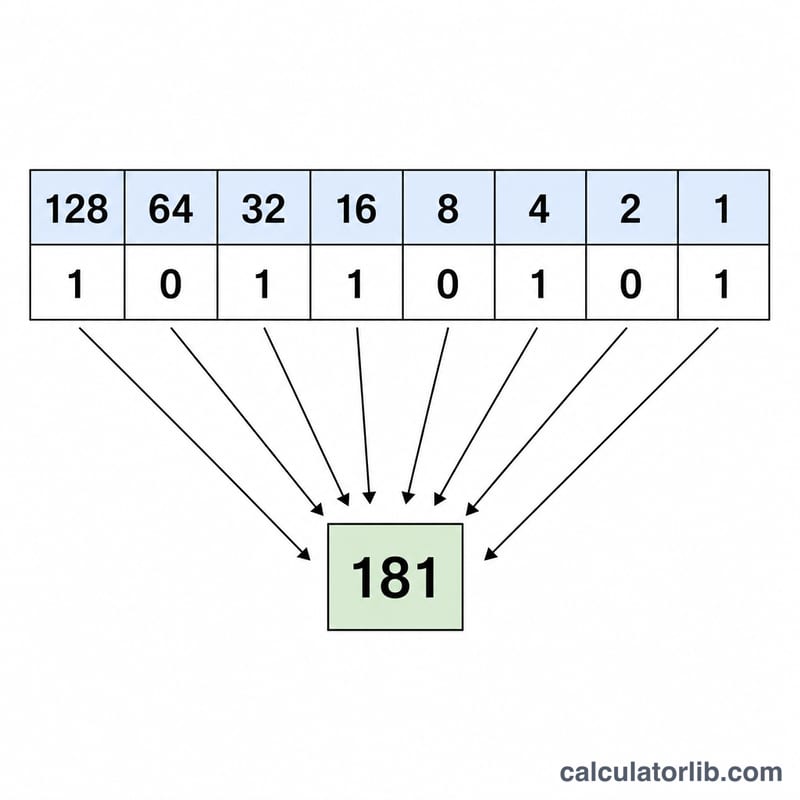 Eight-bit place value chart converting binary to a decimal octet