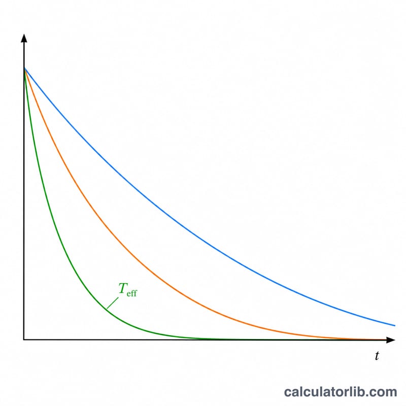 Three decay curves comparing physical, biological and faster effective half-life