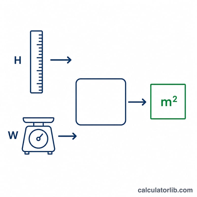 Diagram showing height and weight inputs feeding into a BSA result
