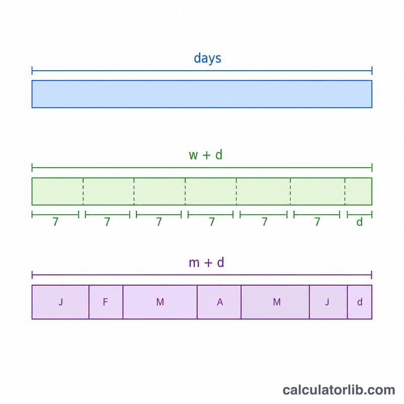Una misma edad mostrada en días, semanas más días y meses más días