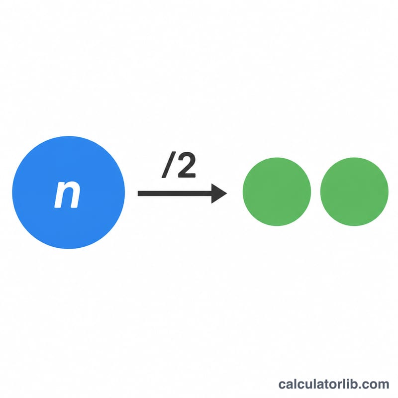 One circle splitting into two equal circles via division by two
