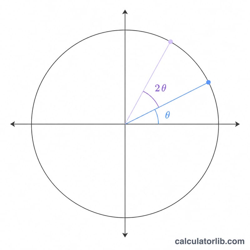 Unit circle with angle theta and double angle 2theta marked