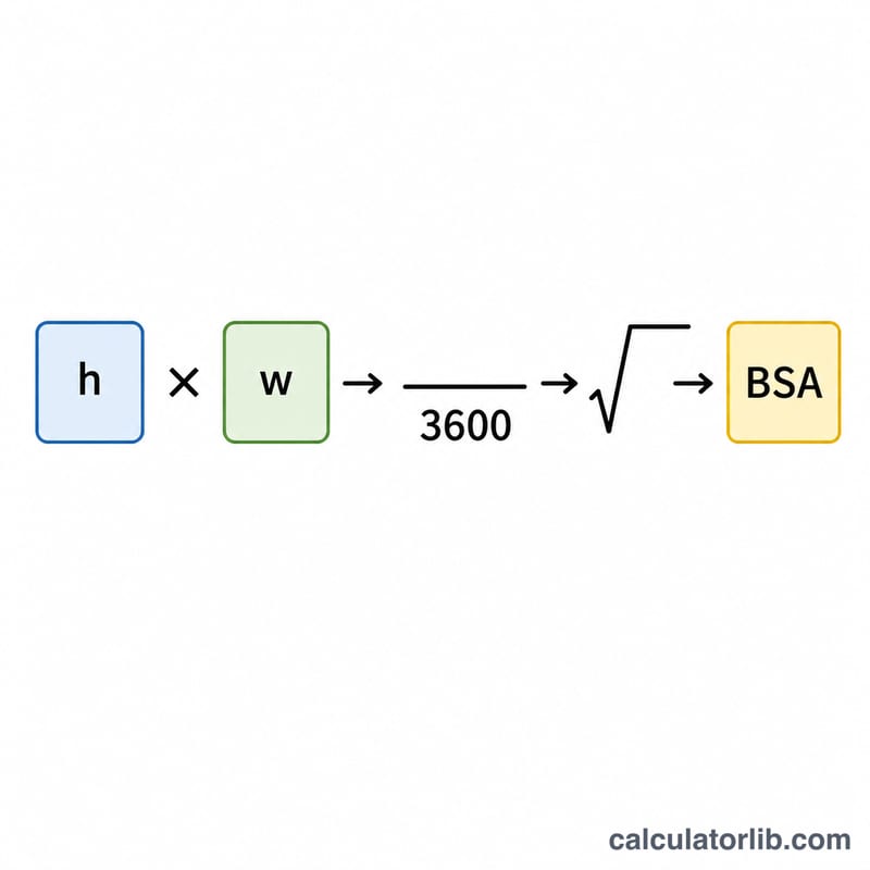 Diagram of the Mosteller formula structure with height, weight, division by 3600 and a square root